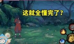 火影玩家爆料视频大全集