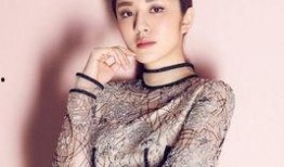 陈畅女友爆料视频大全最新,揭秘背后惊人真相