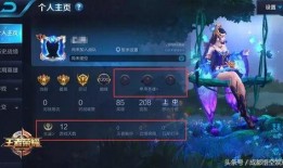 王者新世界爆料视频,揭秘游戏新篇章与神秘爆料